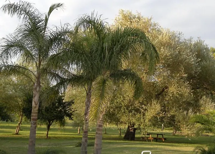 Masseria Grande فندق